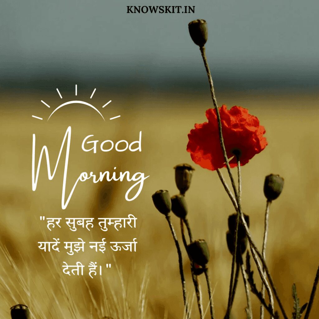 Good morning love quotes in Hindi